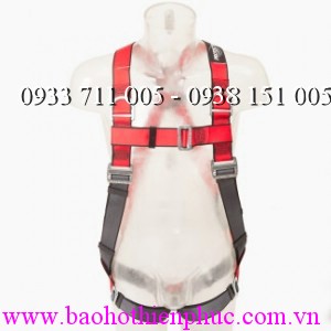 Đai an toàn AB10213NG