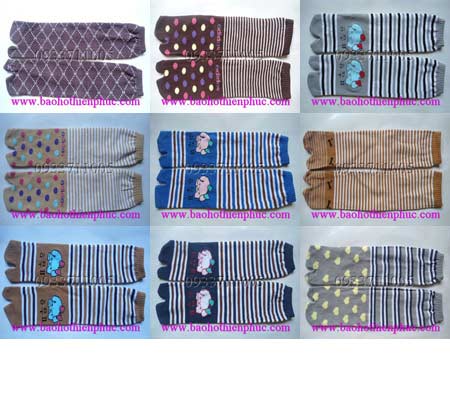 Vớ nữ hình dài