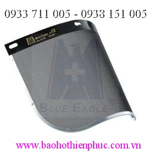 Kính che mặt lưới thép FC29